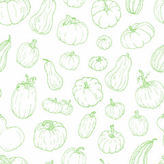 Green pumpkin outline seamless pattern, autumn harvest line art background