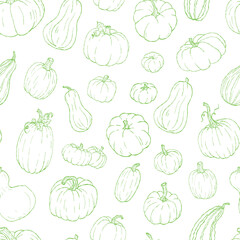 Green pumpkin outline seamless pattern, autumn harvest line art background