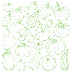 Pumpkin outline clipart collection, line art farm harvest pumpkin set, green contour 