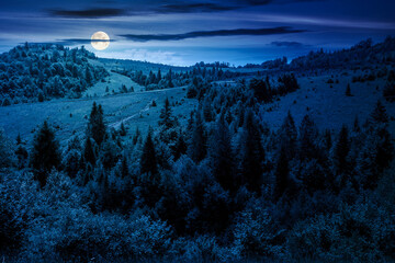 summer landscape with forest on the hill at night. scenic view of highlands in full moon light. mysterious environment with trees in green foliage. scenery under dark blue sky