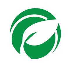 Leaf symbol vector icon illustration