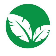 Leaf symbol vector icon illustration