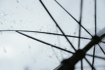 Raindrops and bubbles scatter across a wet surface, capturing nature’s freshness and moisture in...
