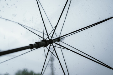 Raindrops and bubbles scatter across a wet surface, capturing nature’s freshness and moisture in...