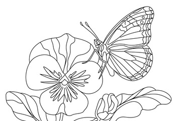 Butterfly rests on a pansy flower.
