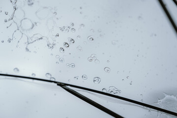 Raindrops and bubbles scatter across a wet surface, capturing nature’s freshness and moisture in...