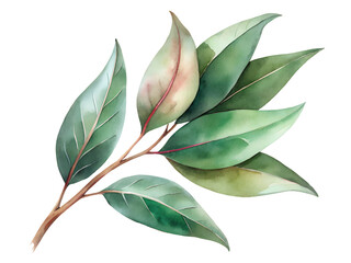 Watercolor Painting of Green Leaves Branch