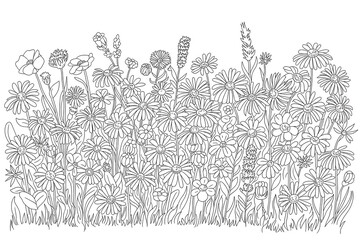 Black and white meadow of wildflowers.
