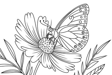 Butterfly rests on a detailed flower.
