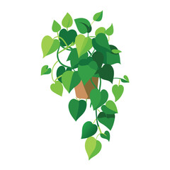 A lush green pothos houseplant in a pot vector illustration on a white background