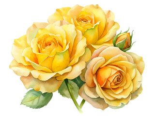 Watercolor Painting of Three Yellow Roses with Bud