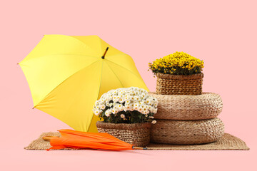 Baskets with chrysanthemum flowers and umbrellas on pink background