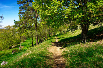 a beautiful day in the ancient town of Dollnstein