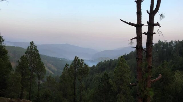 Panning shot of lush green mountains and dense natural trees near Mansehra in Khyber Pakhtunkhwa, Pakistan. A serene and immersive view of nature, perfect for travel films, and scenic visuals.
