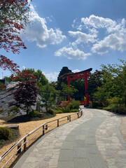 Serene pathway through a traditional Japanese garden featuring a vibrant red torii gate, surrounded...