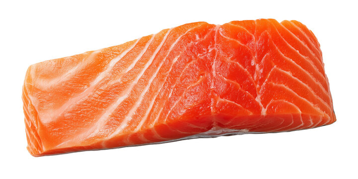 raw salmon fish filet on transparent background