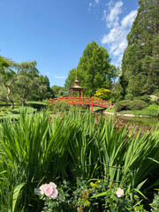 Traditional red Asian-style bridge in a serene garden setting, surrounded by lush greenery and symbolizing harmony and cultural elegance