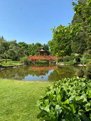 Traditional red Asian-style bridge in a serene garden setting, surrounded by lush greenery and symbolizing harmony and cultural elegance