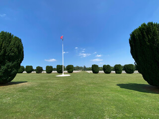 Rows of countless white crosses in a military cemetery, symbolizing sacrifice and remembrance, under a peaceful sky.