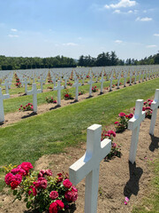 Rows of countless white crosses in a military cemetery, symbolizing sacrifice and remembrance, under a peaceful sky.