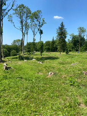 View of the remnants of Fleury-devant-Douaumont, France, where only craters remain, marking the devastation of World War I battles