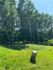 View of the remnants of Fleury-devant-Douaumont, France, where only craters remain, marking the devastation of World War I battles