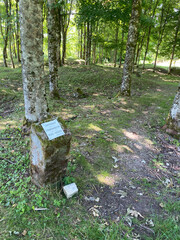 View of the remnants of Fleury-devant-Douaumont, France, where only craters remain, marking the devastation of World War I battles