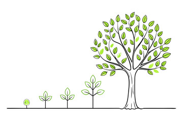 Tree Development Stage Vector Art