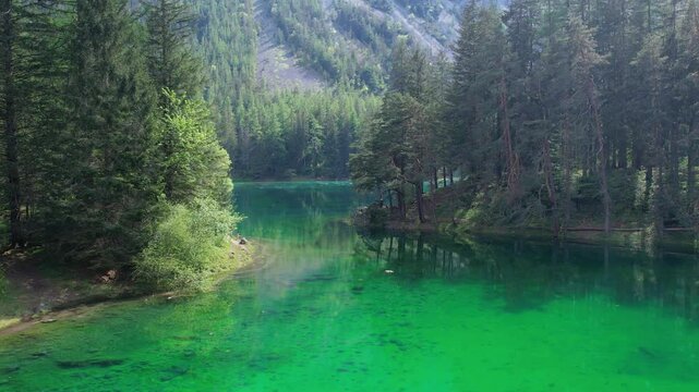 Aerial of alpine paradise emerald lake Gruner See with crystalline waters and pine forest. Summertime in Austria.