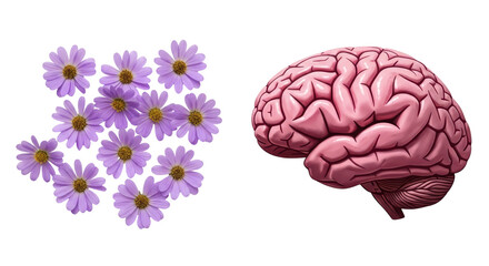 Isolated Brain with Flowers