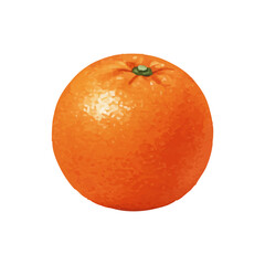 Vector watercolor Orange / 水彩テイストのオレンジイラスト