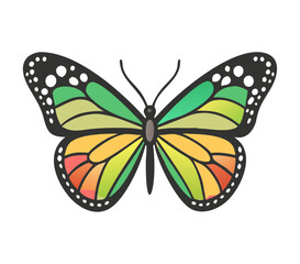 Colorful butterfly . Vector illustration