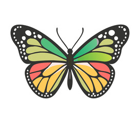 Colorful butterfly . Vector illustration