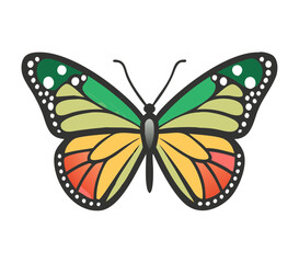 Colorful butterfly . Vector illustration