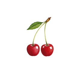Vector watercolor Cherry / 水彩テイストのさくらんぼイラスト