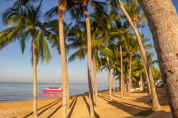 Peaceful morning at Jomtien Beach with calm turquoise water, coconut palms casting shadows on sand, and a boat reflecting in still water. Pattaya, Thailand.

