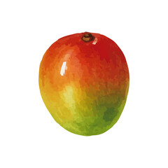 Obraz premium Vector watercolor Mango / 水彩テイストのマンゴーイラスト