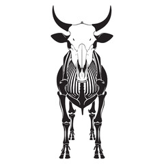 Timeless livestock form – Cow skeleton silhouette and Cow skeleton vector composed with care – Cow skeleton illustration

