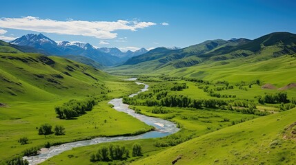 Fototapeta premium verdant green landscape