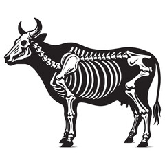 Rural heritage preserved – Cow skeleton silhouette aligned with refined Cow skeleton vector – Cow skeleton illustration

