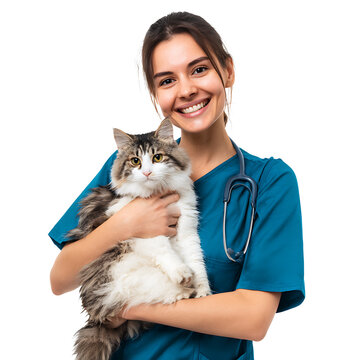 Smiling veterinarian holding a fluffy cat wearing scrubs and a stethoscope on a transparent background