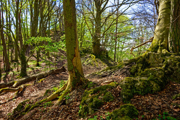 a beautiful day in the ancient town of Dollnstein