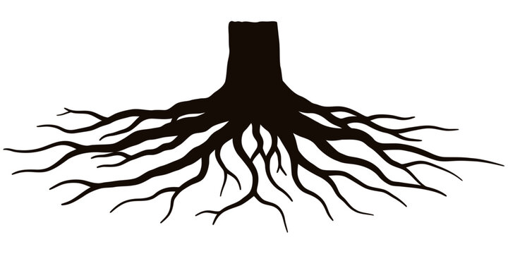 Silhouette of a tree trunk with sprawling root system, intricately illustrated in black with branching organic lines spreading downward, symbolizing growth, nature, and stability.