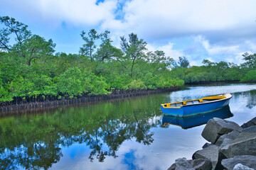 Obraz premium Fishing boat docked in the port launay mangrove, covers 121 hectars of land, Mahe Seychelles 2
