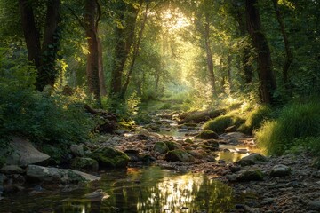 Fototapeta premium Sunlit Forest Stream, Green Trees, Peaceful Nature Scene