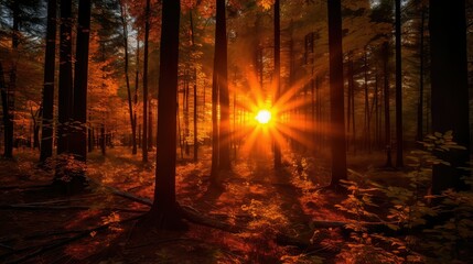 Fototapeta premium shadow fire sun