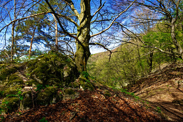 a beautiful day in the ancient town of Dollnstein