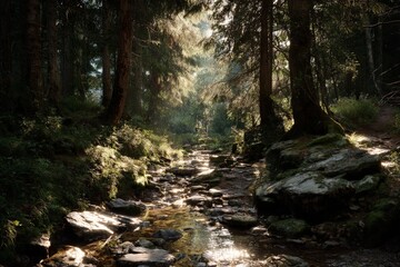 Obraz premium Sunlit Forest Stream with Rocks and Lush Greenery