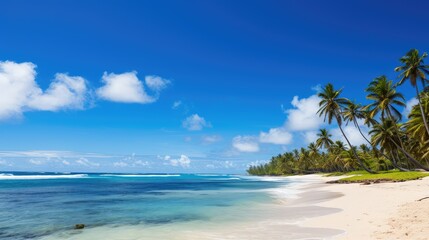 Fototapeta premium sun summer palm trees