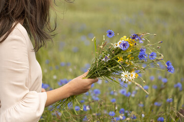 Woman picking wild herbs in meadow